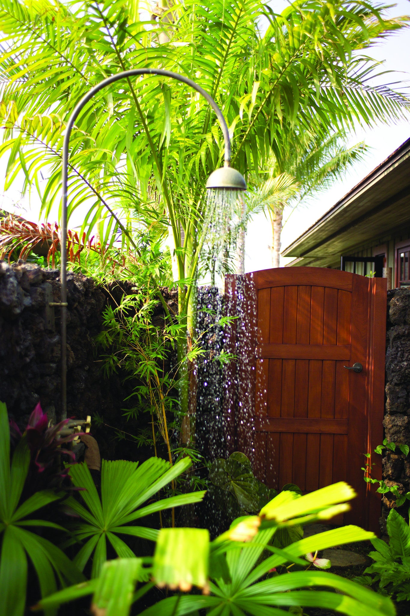 Hamakua Brass Shower Head